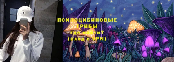 mdpv Верхний Тагил