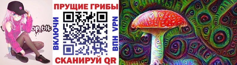 Купить закладки  Николаевск  Галлюциногенные грибы Cubensis 